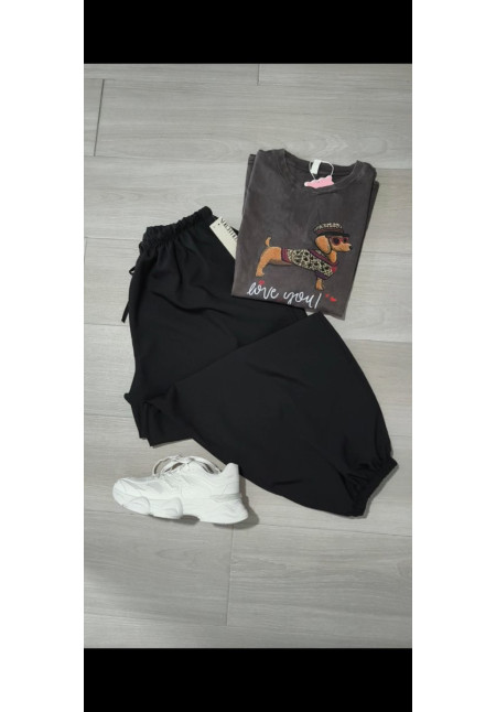Camiseta a la piedra perro salchicha 