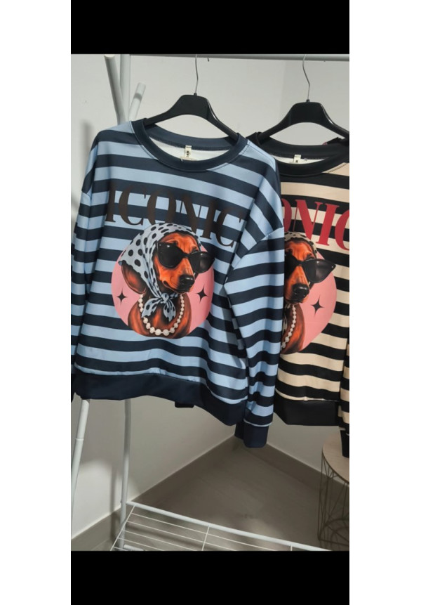 Sudadera iconic