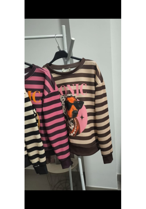 Sudadera iconic
