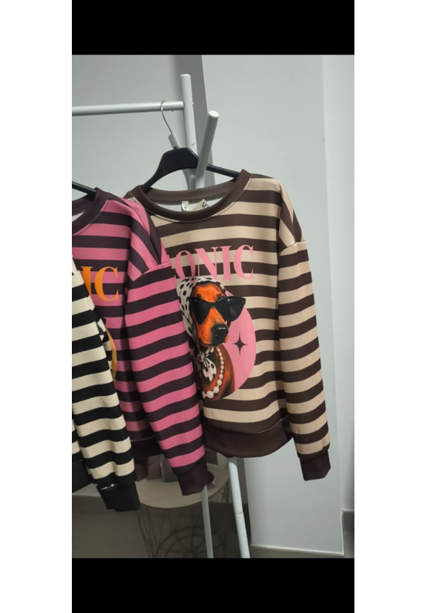 Sudadera iconic