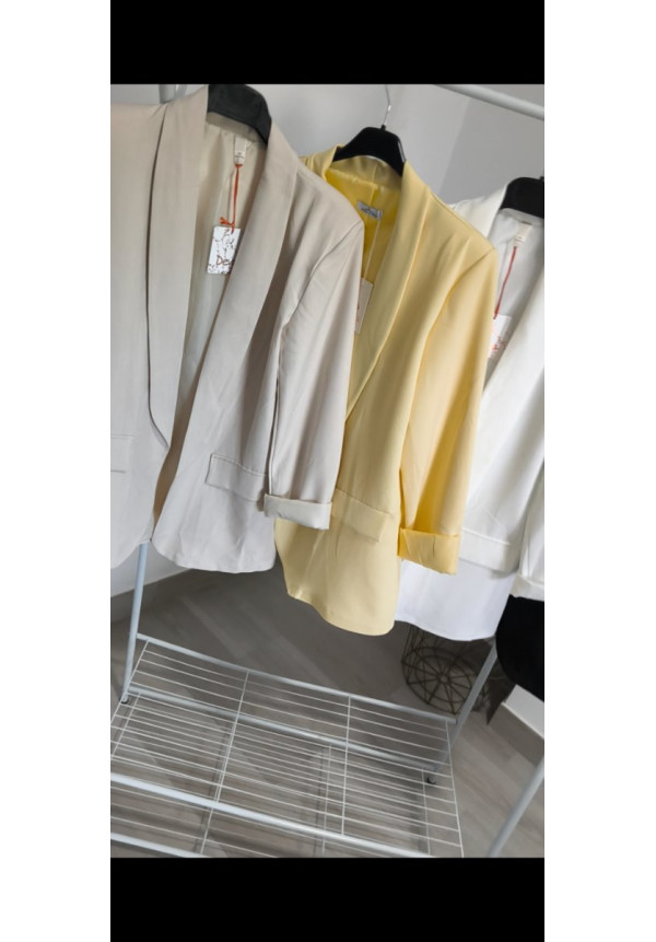 Blazer manga larga 